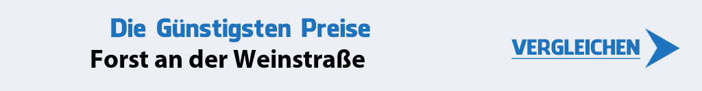 internetanbieter-forst-an-der-weinstrasse-67147