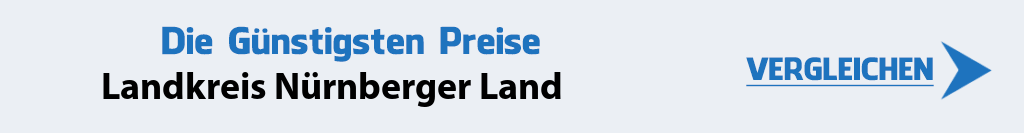 internetanbieter-landkreis-nuernberger-land-91236