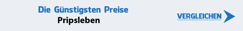 internetanbieter-pripsleben-17091