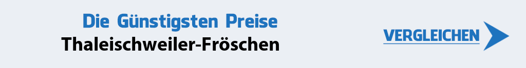 internetanbieter-thaleischweiler-froeschen-66987